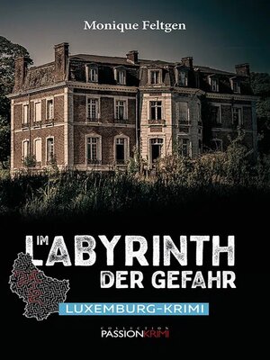 cover image of Im Labyrinth der Gefahr